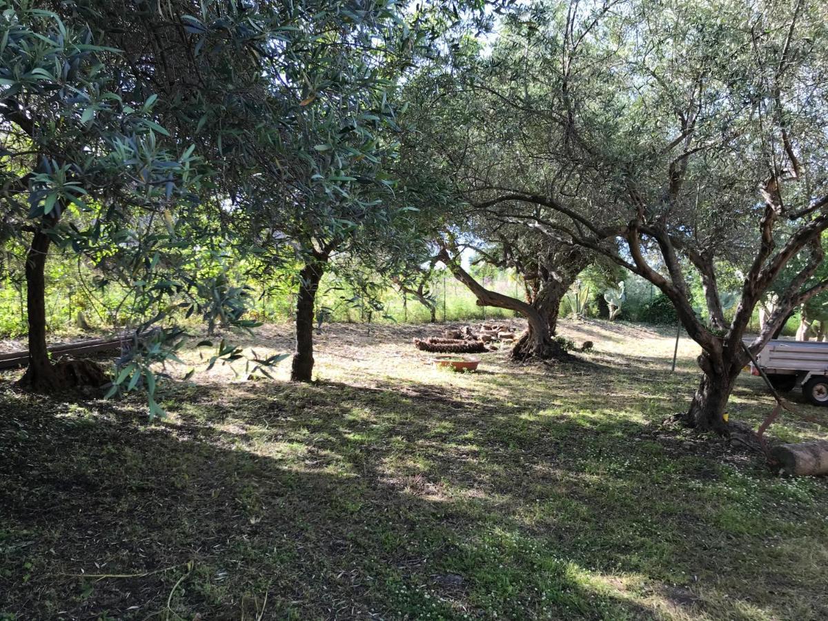 A Casa Di Peppino Villa Greco Tindari Eksteriør bilde