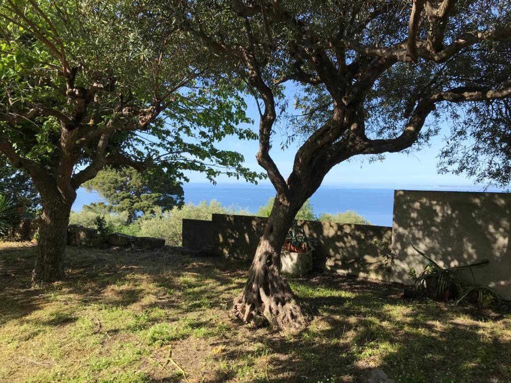 A Casa Di Peppino Villa Greco Tindari Eksteriør bilde
