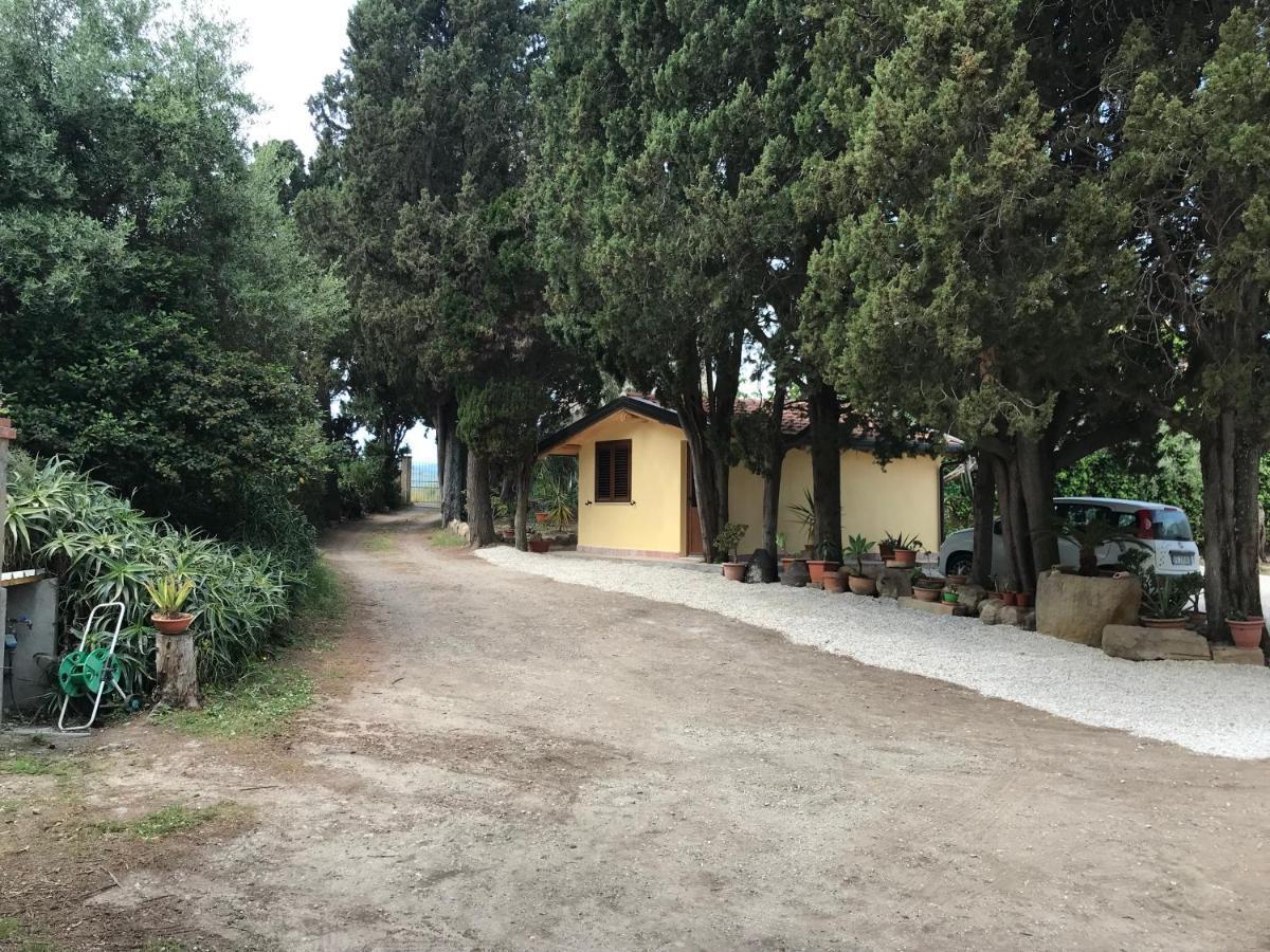 A Casa Di Peppino Villa Greco Tindari Eksteriør bilde