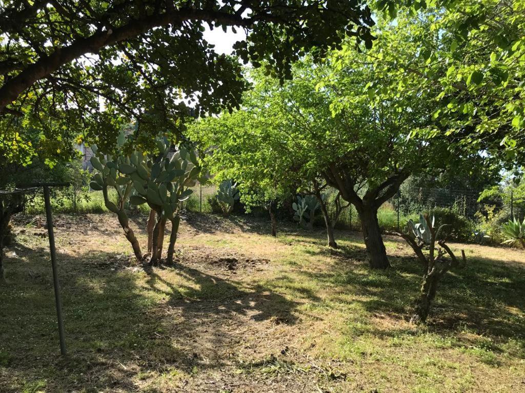 A Casa Di Peppino Villa Greco Tindari Eksteriør bilde