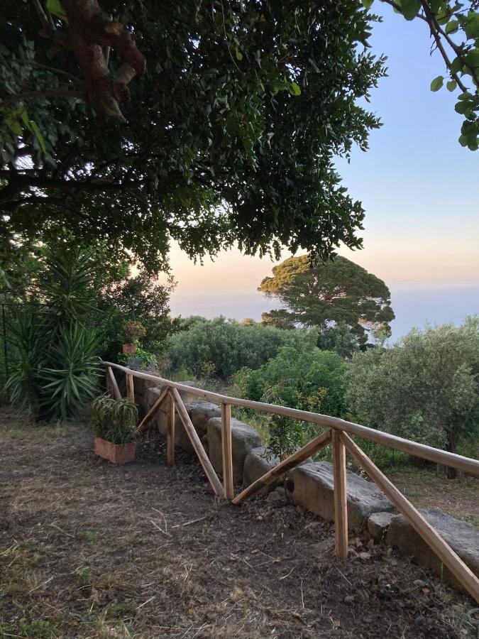 A Casa Di Peppino Villa Greco Tindari Eksteriør bilde